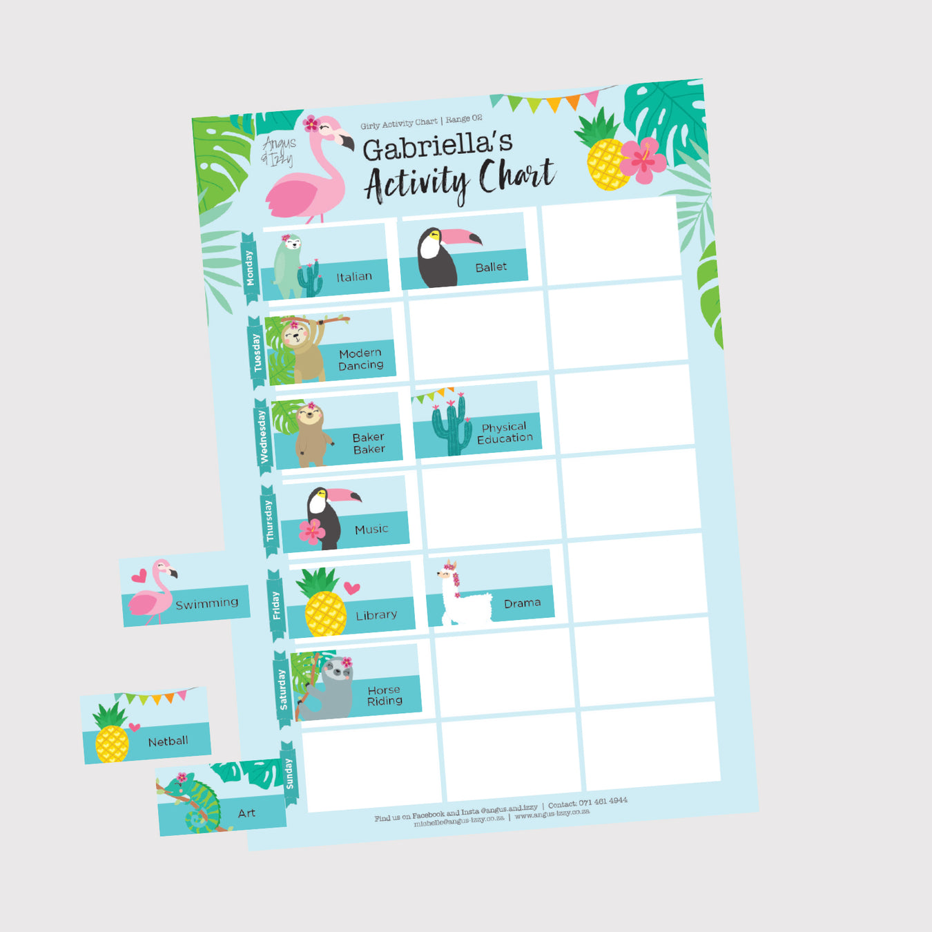 Magnetic Activity Charts