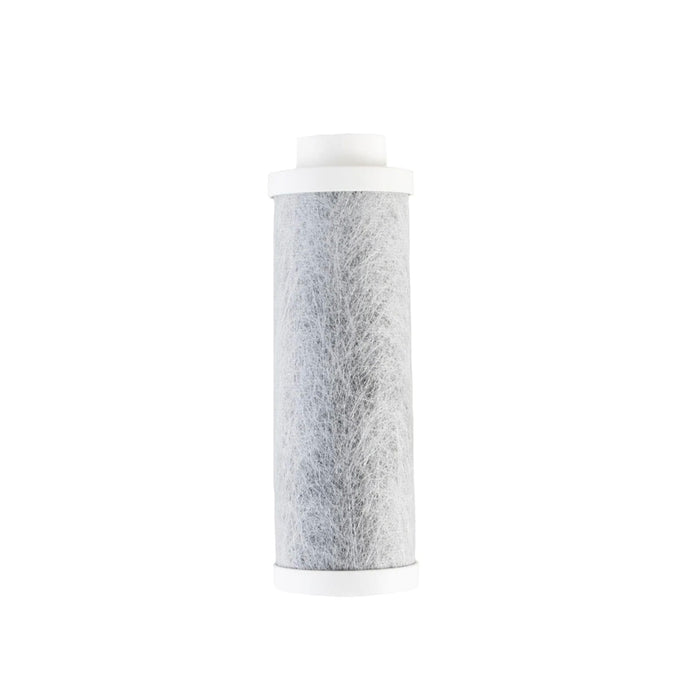 Lizzard Filter Replacement