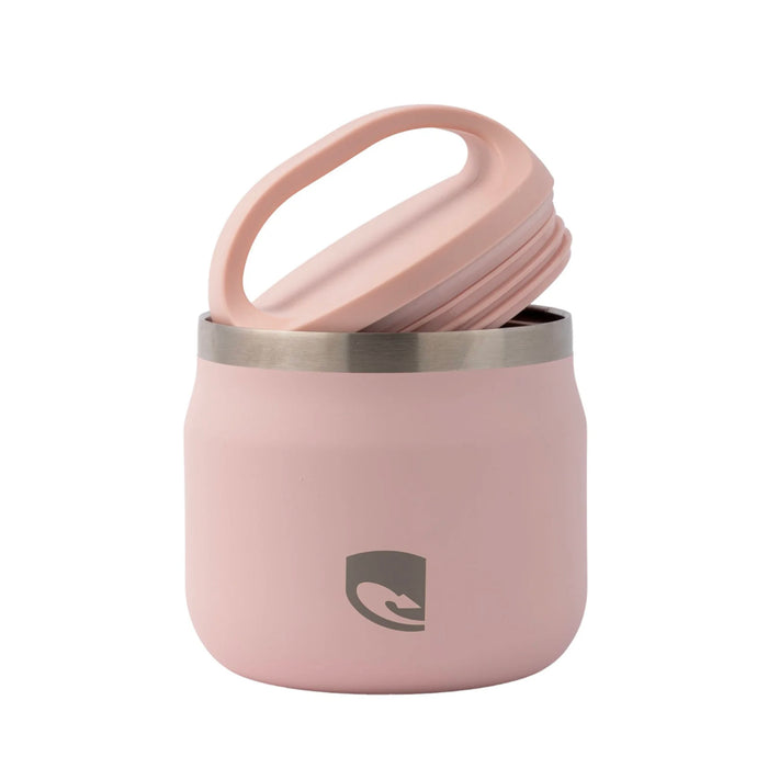 Lizzard Food Pot