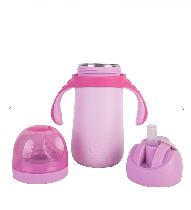 Lizzard Kiddies Flask